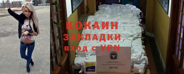 стаф Алексин