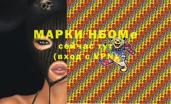 стаф Алексин