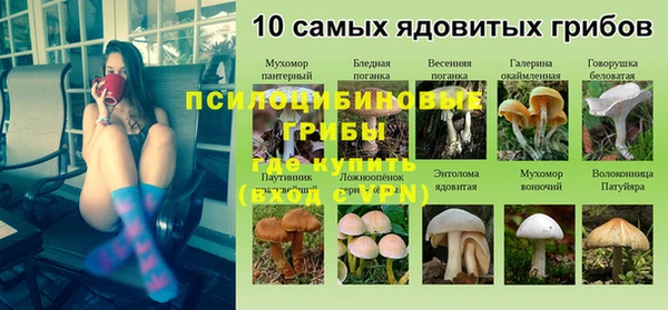 стаф Алексин