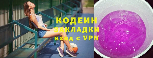 соль ск Переславль-Залесский