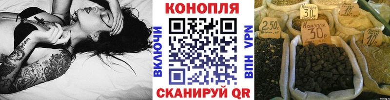 Каннабис сатива Лениногорск